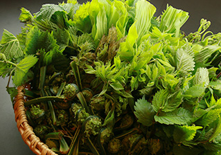 南会津の美味しい自家栽培トマト