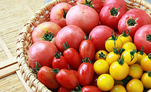 2015年に「第44回 日本農業賞 大賞」南会津の美味しい自家栽培トマト