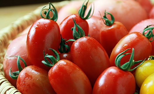 2015年に「第44回 日本農業賞 大賞」南会津の美味しい自家栽培トマト
